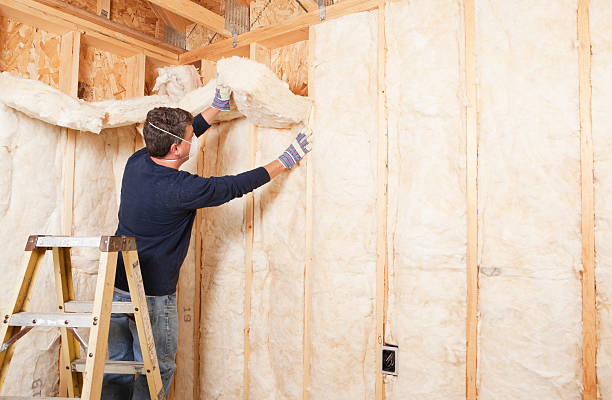 Guadalupe, AZ Insulation Removal & Installation Company